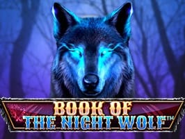Book Of The Night Wolf thumbnail