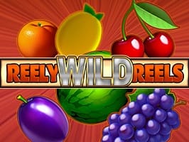Reely Wild Reels thumbnail